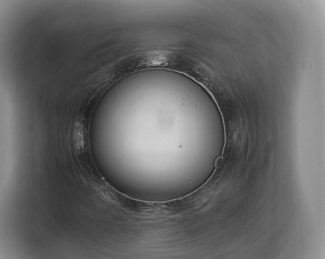 X0000112831442200908281522