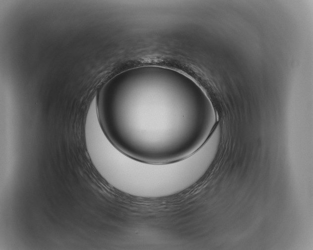 X0000112831444200908281522