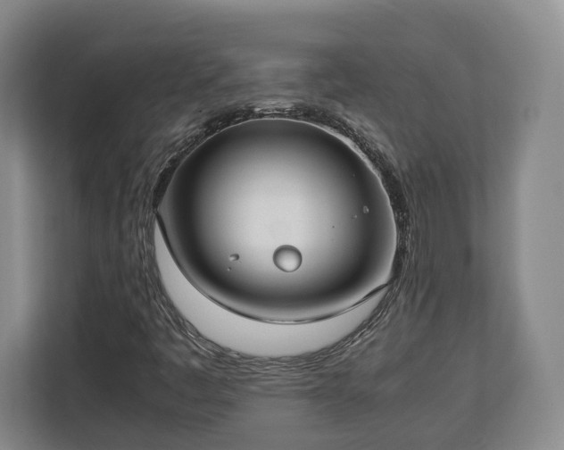 X0000112831445200908281522