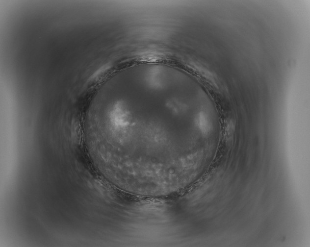 X0000112831446200908281522