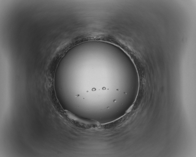 X0000112831447200908281522