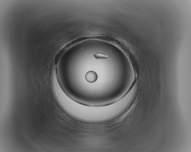 X0000112831449200908281522