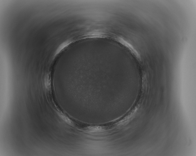 X0000112831450200908281522