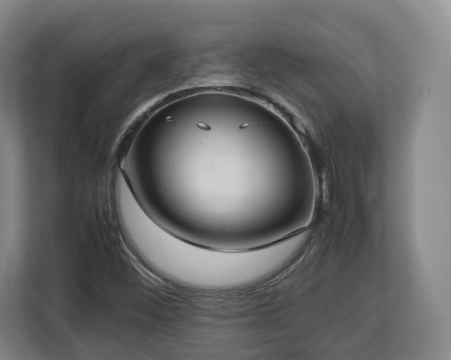 X0000112831452200908281522