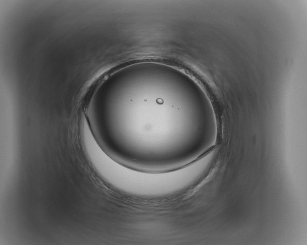 X0000112831453200908281522