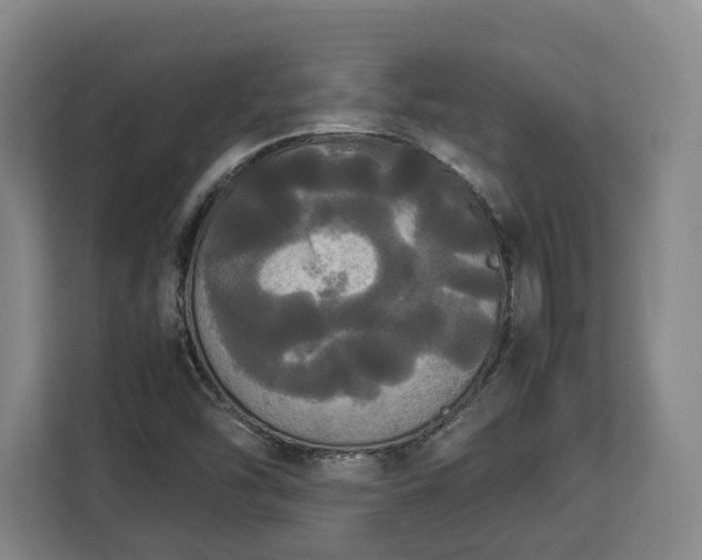 X0000112831454200908281522