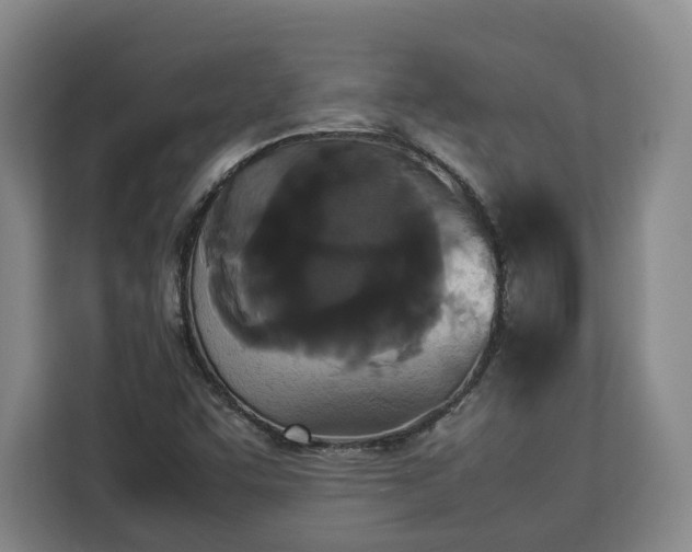 X0000112831455200908281522