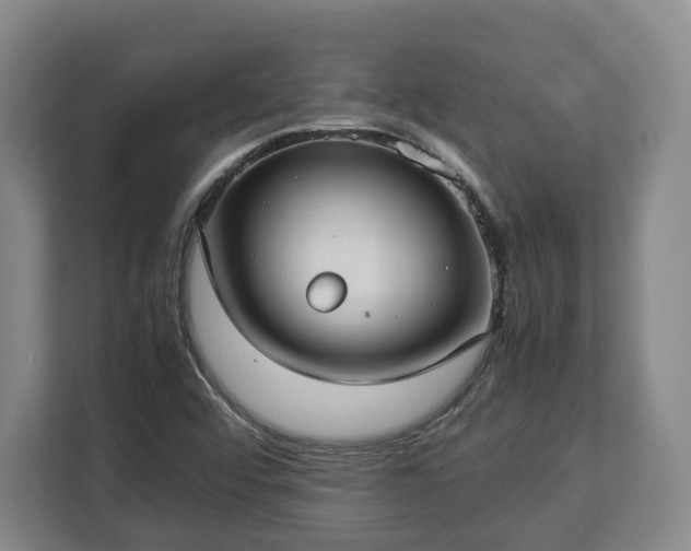 X0000112831456200908281522