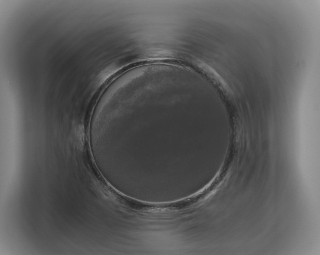 X0000112831457200908281522