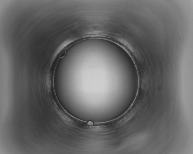 X0000112831458200908281522