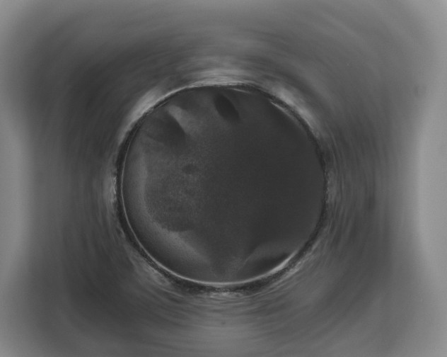 X0000112831459200908281522