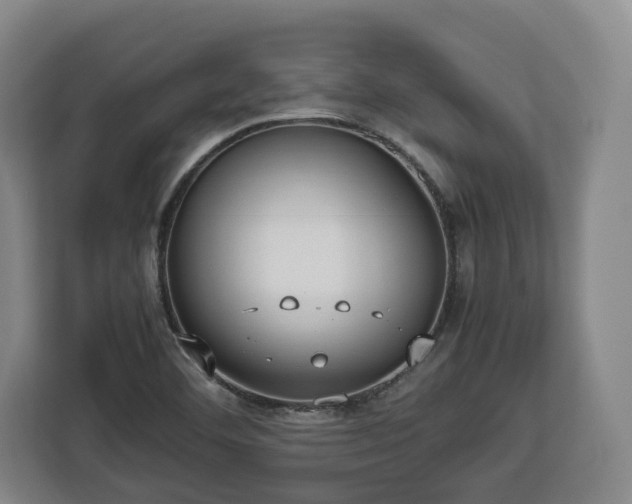 X0000112831460200908281522