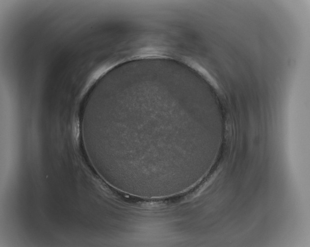 X0000112831461200908281522