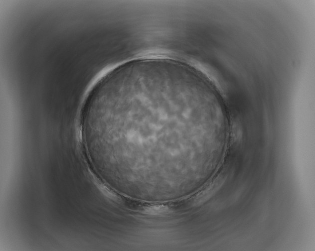 X0000112831462200908281522