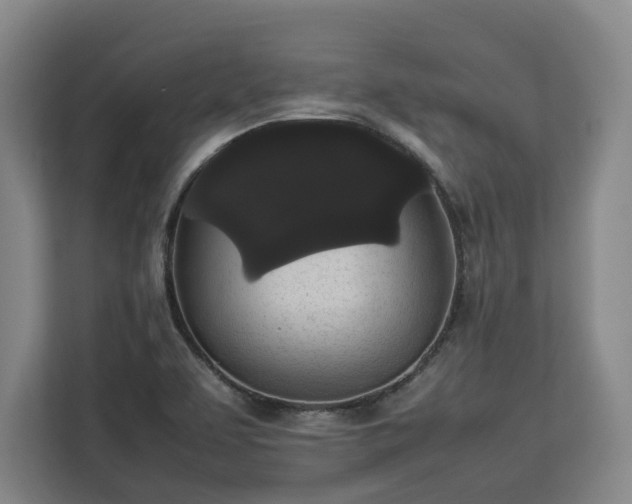 X0000112831463200908281522