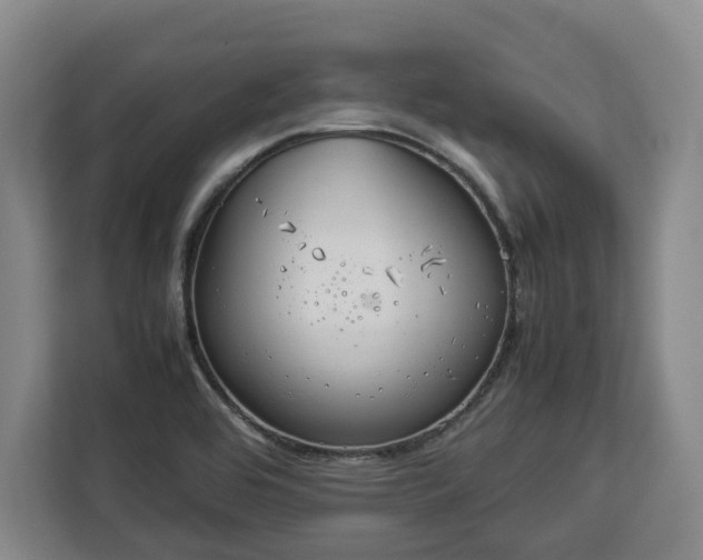 X0000112831464200908281522