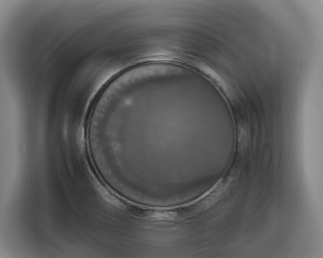 X0000112831466200908281522