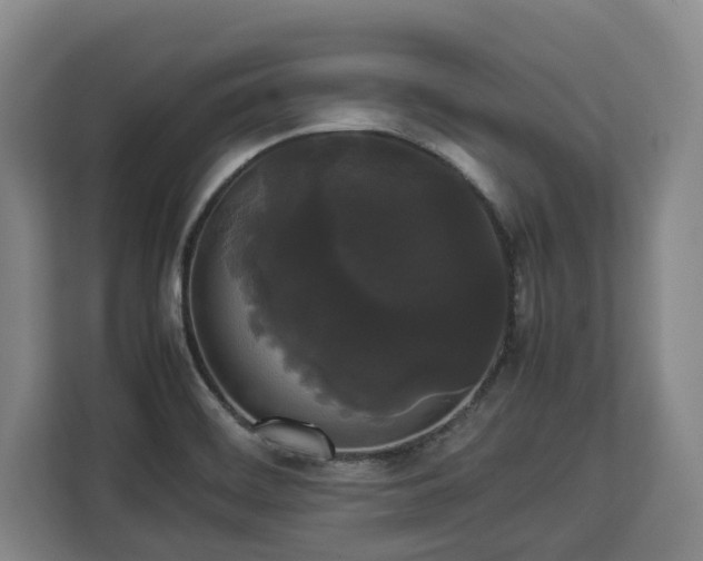 X0000112831468200908281522