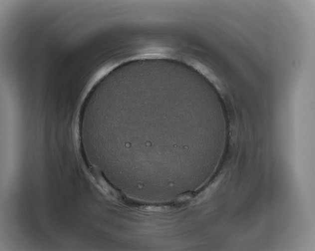 X0000112831469200908281522