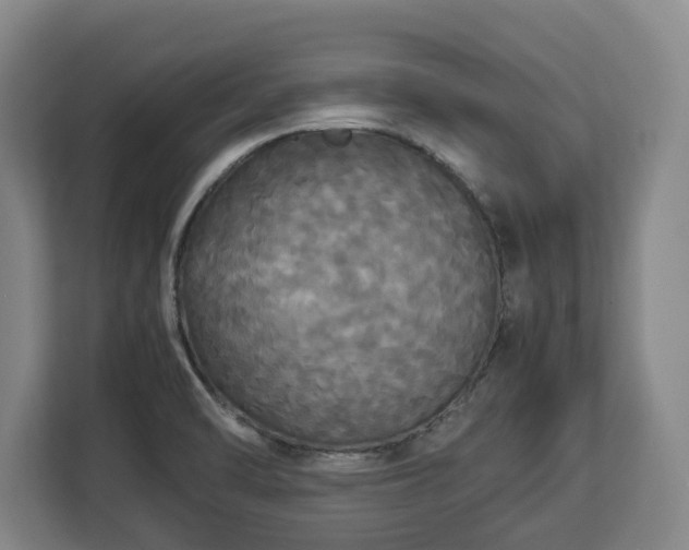 X0000112831470200908281522