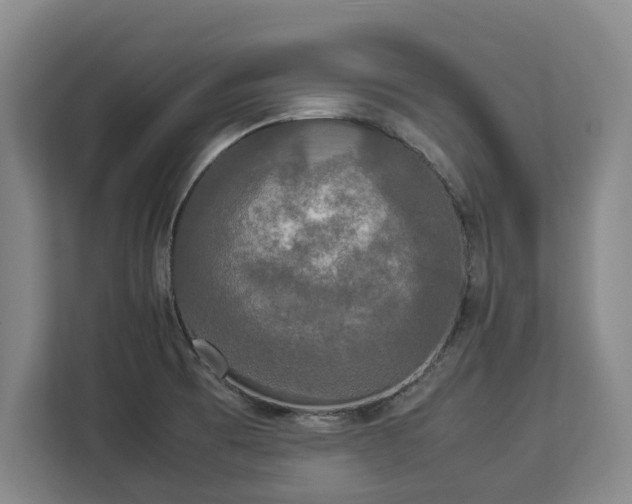 X0000112831473200908281522