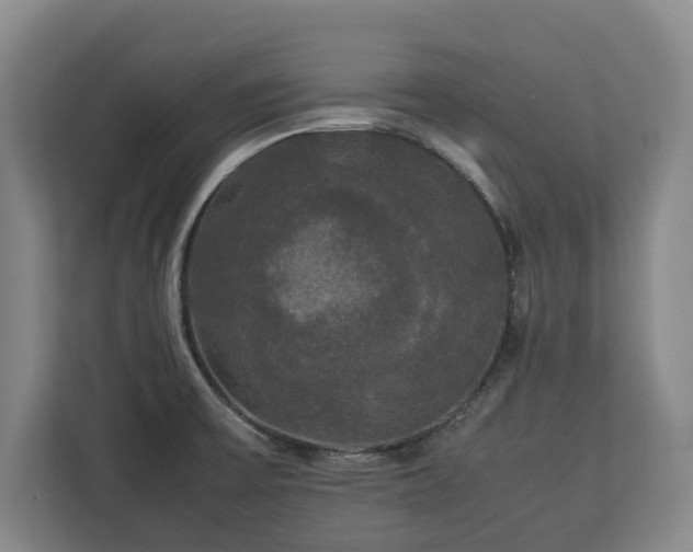 X0000112831475200908281522