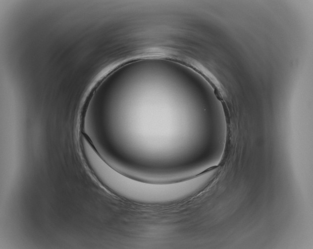 X0000112831477200908281522