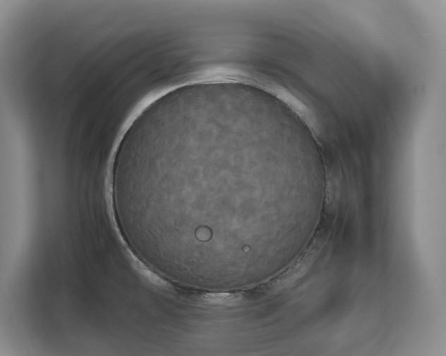 X0000112831478200908281522