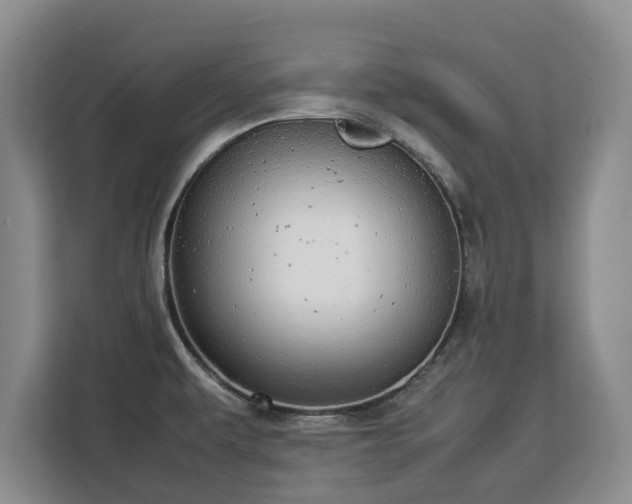 X0000112831479200908281522