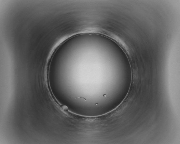 X0000112831480200908281522