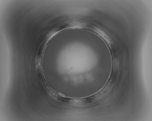 X0000112831481200908281522