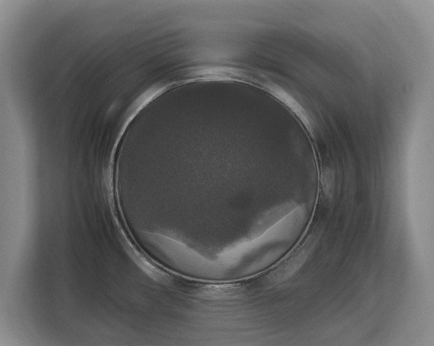 X0000112831482200908281521