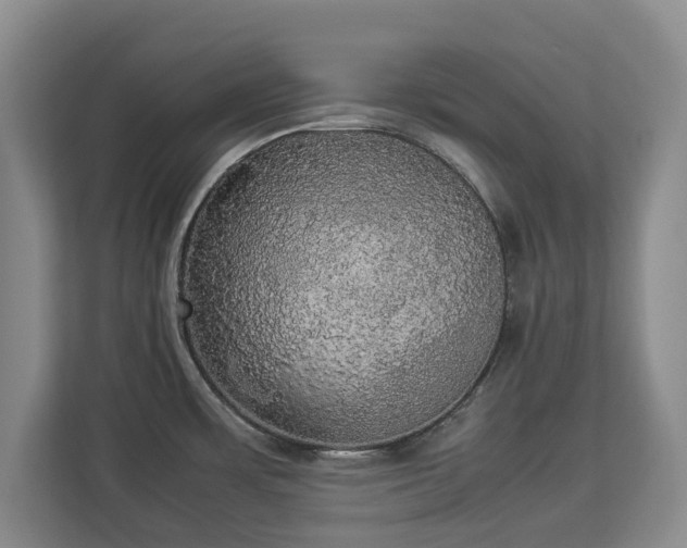 X0000112831483200908281521