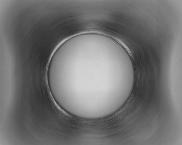 X0000112831484200908281521