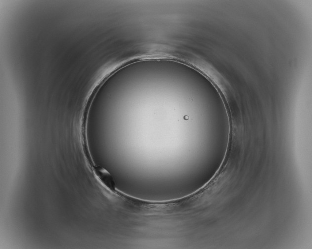 X0000112831485200908281521