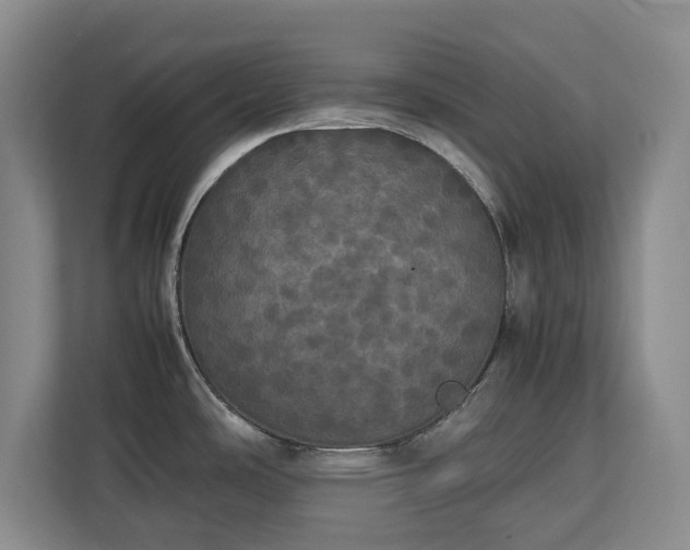 X0000112831486200908281521