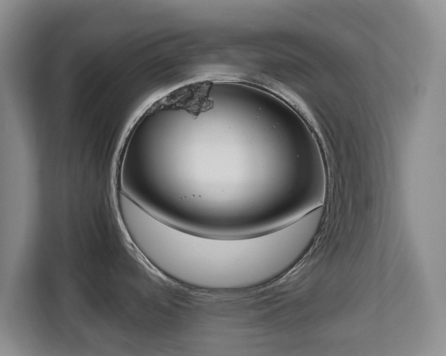 X0000112831488200908281521