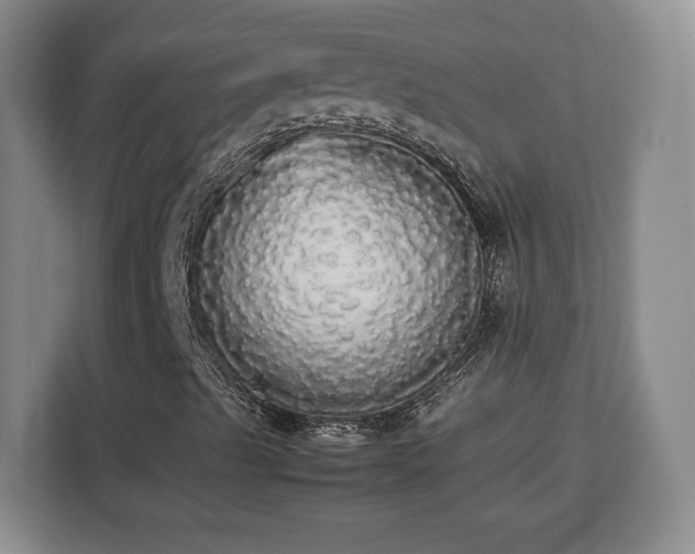 X0000112831489200908281521