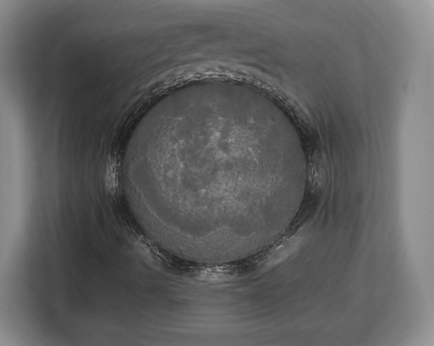 X0000112831490200908281521