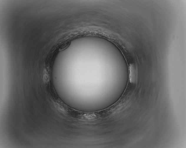 X0000112831491200908281521