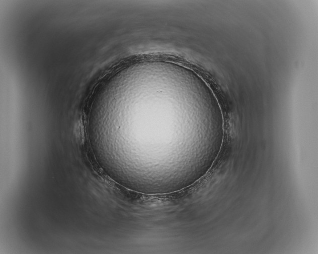 X0000112831493200908281521