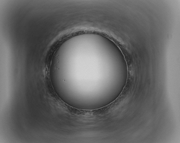 X0000112831495200908281521