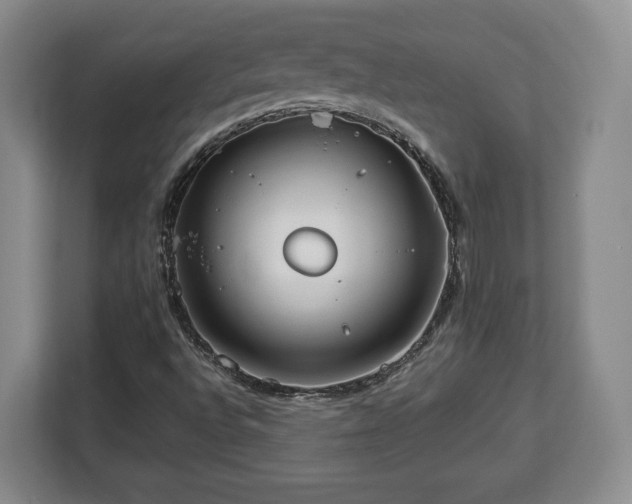 X0000112831496200908281521