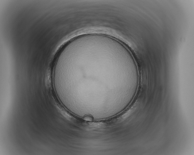 X0000112831498200908281521