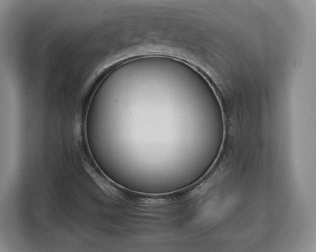 X0000112831499200908281521