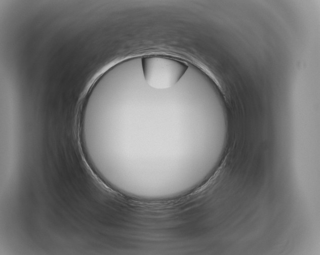 X0000112831500200908281521