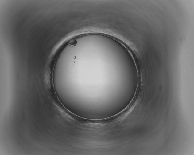 X0000112831502200908281521