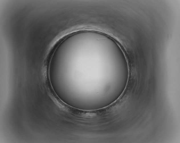 X0000112831503200908281521