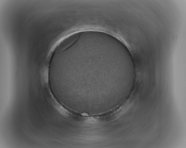 X0000112831504200908281521