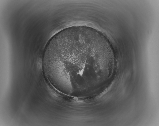 X0000112831505200908281521